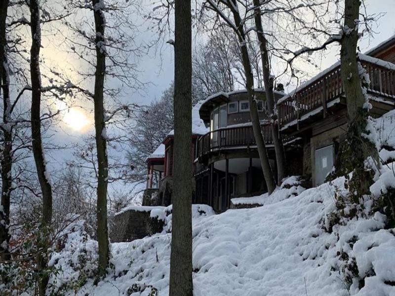 Waldhaus Anne Villa Nideggen Exteriör bild