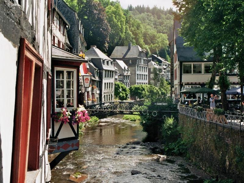 Waldhaus Anne Villa Nideggen Exteriör bild